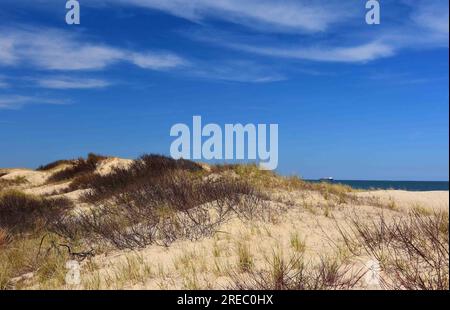dunes de sable par une journée ensoleillée au parc d'état de cape henlopen, lewes, côte est du delaware Banque D'Images