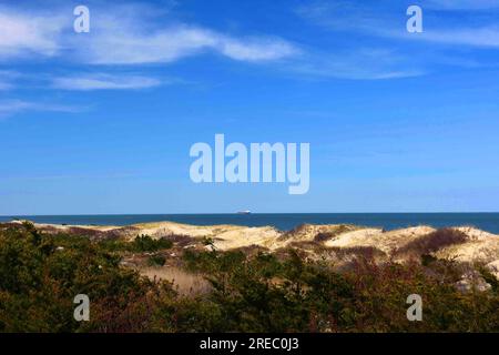 dunes de sable par une journée ensoleillée au parc d'état de cape henlopen, lewes, côte est du delaware Banque D'Images