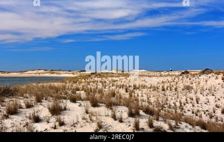 Dunes de sable, herbes marines, littoral et le port de refuge lumière sur une journée ensoleillée au parc d'état de cape henlopen près de la plage de rehoboth, delaware Banque D'Images