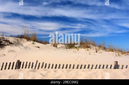 dunes de sable à la dérive couvrant une clôture en bois par une journée ensoleillée au parc d'état de cape henlopen près de la plage de rehoboth, delaware Banque D'Images