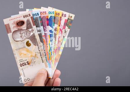 Argent bahamien - dollar dans la main sur un fond gris Banque D'Images