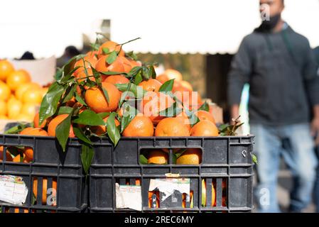 23 janvier 2022 à Rome, Italie : Panier d'oranges en vente au marché agricole de Rome, Italie Banque D'Images