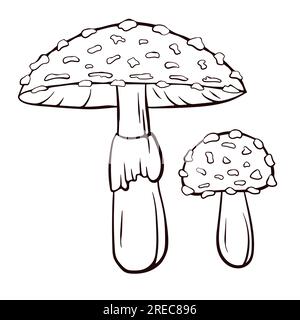 Champignon agarique non comestible de mouche dans le style d'art de ligne. Champignon vénéneux et médicinal d'Amanita muscaria dessiné à la main. Illustration vectorielle isolée sur un blanc Illustration de Vecteur