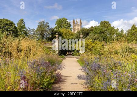 Chemin et jardin aux jardins botaniques d'Oxford, Oxford, Oxfordshire, Angleterre Banque D'Images