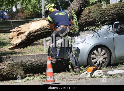 Les opérateurs de la protection civile au travail avec une tronçonneuse pour libérer les voitures écrasées par les arbres après la gigantesque tempête qui a frappé la ville Banque D'Images