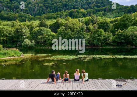 Ougney Douvot (nord-est de la France) : groupe d'amis les pieds dans l'eau sur les rives du Canal du Rhone au Rhin. Quatre peo Banque D'Images