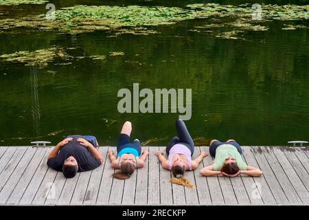 Ougney Douvot (nord-est de la France) : groupe d'amis sur les rives du Canal du Rhone au Rhin. Quatre personnes allongées sur un woo Banque D'Images