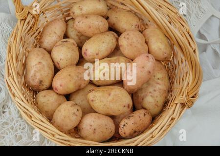 Pommes de terre dans un panier de paille. Récolte et jardinage biologique. Style village. La vie à la campagne. Banque D'Images