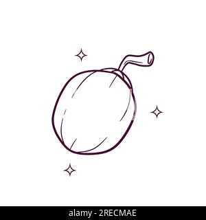 Noix de coco dessinée à la main. Illustration d'esquisse vectorielle Doodle Illustration de Vecteur