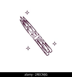 Asperges dessinées à la main. Illustration d'esquisse vectorielle Doodle Illustration de Vecteur