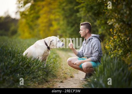 Homme face à face enseignant son chien mignon dans la nature. Regard coupable du labrador retriever pendant la formation à l'obéissance. Banque D'Images