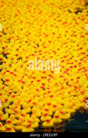 Londres, Royaume-Uni. 27 juillet 2023. Un millier de canards dans une course caritative de canard en caoutchouc à Merchant Square, dans le bassin de Paddington, collectant des fonds pour l’unité de soins intensifs pédiatriques de l’hôpital St Mary grâce à l’association caritative COSMIC (Children of St Mary intensive Care). Chaque canard a été parrainé par un membre du public. Crédit : Stephen Chung / Alamy Live News Banque D'Images