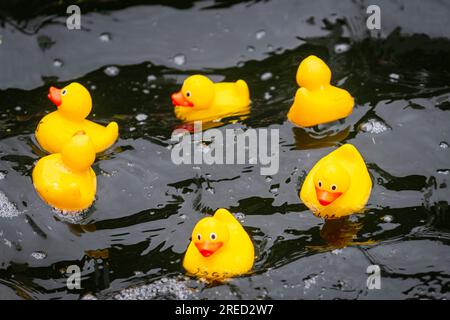 Londres, Royaume-Uni. 27 juillet 2023. Certains des mille canards d’une course caritative de canard en caoutchouc à Merchant Square, dans le bassin de Paddington, collectent des fonds pour l’unité de soins intensifs pédiatriques de l’hôpital St Mary’s par l’intermédiaire de l’organisme caritatif COSMIC (Children of St Mary intensive Care). Chaque canard a été parrainé par un membre du public. Crédit : Stephen Chung / Alamy Live News Banque D'Images