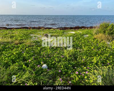 La vue sur l'océan Atlantique depuis un camping à Bahia Honda State Park dans les Keys de Floride par temps nuageux. Banque D'Images