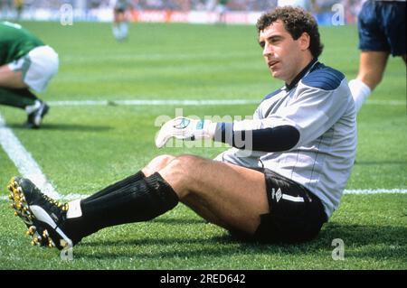 FB EM 1988 / Angleterre - Irlande 0:1 / gardien de but Peter Shilton (ENG) est déçu sur la pelouse [traduction automatique] Banque D'Images