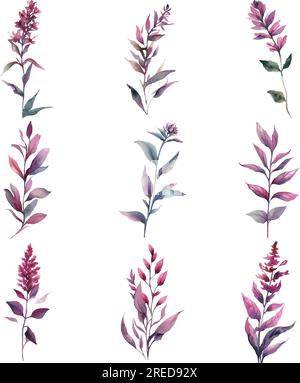 Purpurea.Aquarelle ensemble floral peint à la main isolé sur fond blanc. Illustration vectorielle. Illustration de Vecteur