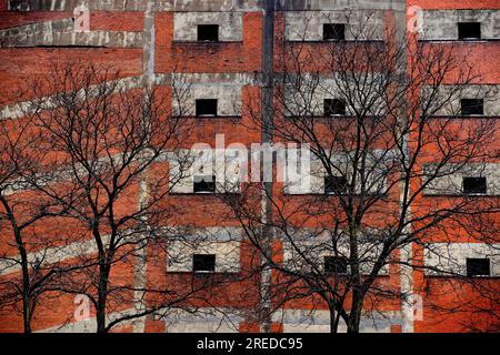 Image contrastée de branches d'arbres sans feuilles devant un garage de stationnement en briques à plusieurs niveaux. Banque D'Images