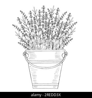 Bouquet de fleurs de lavande dans un seau en étain. Illustration vectorielle dessinée à la main en noir et blanc pour la conception avec des éléments isolés Illustration de Vecteur