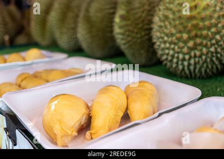 Gros plan de plusieurs durians sur l'étagère. récolte du durian. Fruits mûrs malodorants du fruit royal sur le comptoir dans le magasin. Banque D'Images