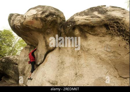 Un grimpeur au loin à l'escalade rochers rochers et arbres dans la forêt d'escalade et de blocs de Fontainebleau près de Paris en France Banque D'Images