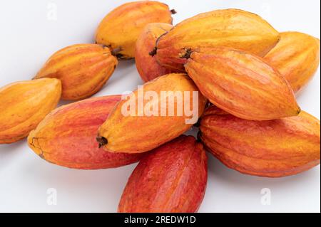 Groupe de fruits de cacao frais de couleur orange isolé sur fond de studio blanc Banque D'Images