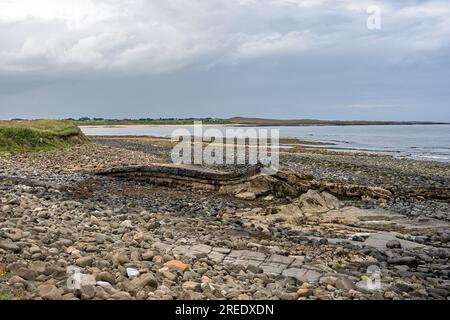 Les roches Greymare, fabriquées à partir de lits de calcaire Whin Sill, forment un pli notable, formé par la pression volcanique sur le calcaire il y a environ 200 millions d'années Banque D'Images