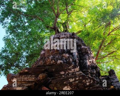 Un grand visage humain au sommet de la tour de l'ancien temple de Ta Som au Cambodge, des arbres près des ruines antiques. Banque D'Images