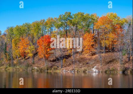 Un magnifique lac d'automne dans le nord du Wisconsin sous un ciel bleu vibrant. Banque D'Images