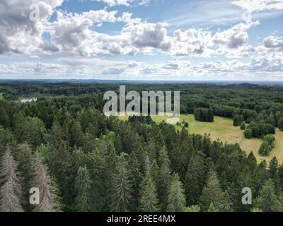 Vue aérienne sur les forêts verdoyantes entourées de champs de terres agricoles verdoyantes Banque D'Images