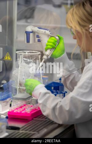 Mayence, Allemagne. 27 juillet 2023. Un employé de la société BioNTech. Biontech a un nouveau centre de recherche à Mayence, en Allemagne, où une équipe travaille avec un large éventail de nouvelles technologies pour travailler dans le domaine de l'immunologie et dans le développement et l'optimisation de l'ARNm pour lutter contre des maladies graves et mortelles telles que le cancer, COVID-19, le paludisme et la tuberculose. Crédit : Helmut Fricke/dpa/Alamy Live News Banque D'Images