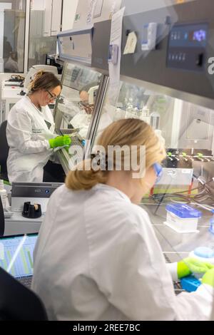 Mayence, Allemagne. 27 juillet 2023. Un employé de la société BioNTech. Biontech a un nouveau centre de recherche à Mayence, en Allemagne, où une équipe travaille avec un large éventail de nouvelles technologies pour travailler dans le domaine de l'immunologie et dans le développement et l'optimisation de l'ARNm pour lutter contre des maladies graves et mortelles telles que le cancer, COVID-19, le paludisme et la tuberculose. Crédit : Helmut Fricke/dpa/Alamy Live News Banque D'Images