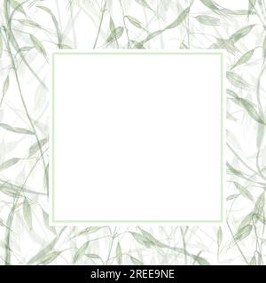 Cadre délicat isolé sur fond d'avoine sauvage. Illustration à l'aquarelle de plantes sauvages. Composition estivale. Pour le message d'accueil, modèle d'invitation Banque D'Images