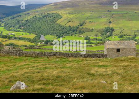 Les belles, rurales Yorkshire Dales en été comme vu de la High Road, Gunnerside à Swaledale, avec des granges en pierre, la rivière Swale, pâturages a Banque D'Images