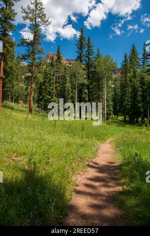 Le Staunton State Park du Colorado offre un programme de chaise de piste qui permet aux personnes handicapées d'utiliser les sentiers de randonnée dans cette partie des montagnes Rocheuses. Banque D'Images