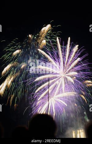 Feux d'artifice pendant le festival de Zurich en 2023 Banque D'Images