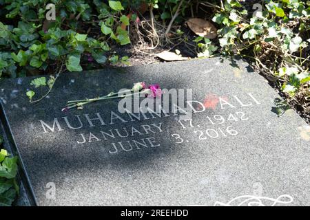 Muhammad Ali tombe dans le cimetière de Cave Hill le 10,2023 juillet à Louisville, Kentucky Banque D'Images