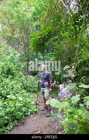 Randonneurs dans le Barranco de la Virgen, Gran Canaria, îles Canaries, Espagne Banque D'Images