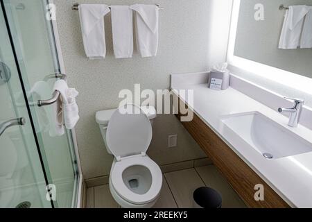 Athènes Géorgie, Holiday Inn Express Athens University Area, hôtel IHG, intérieur intérieur intérieur, salle de bains wc lavabo Banque D'Images