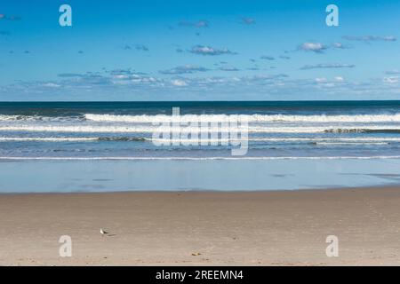 Longue plage de sable à Lennox Head, Byron Bay, Queensland, Australie Banque D'Images