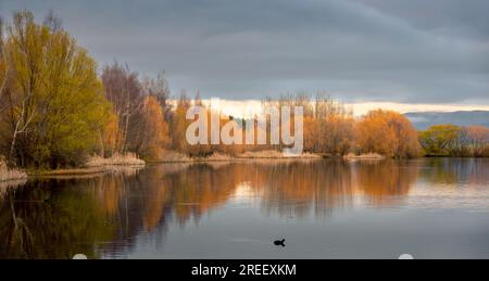 Scène paisible de couleurs automnales reflétées dans un lac calme. Banque D'Images