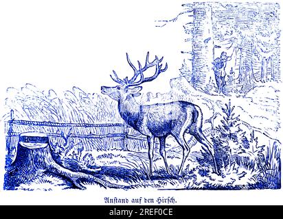 Décence sur le cerf, Hubertus chasse et scènes de chasse, animaux sauvages, chasseur, fusil, bois, forêt, tournage, illustration historique vers 1860 Banque D'Images