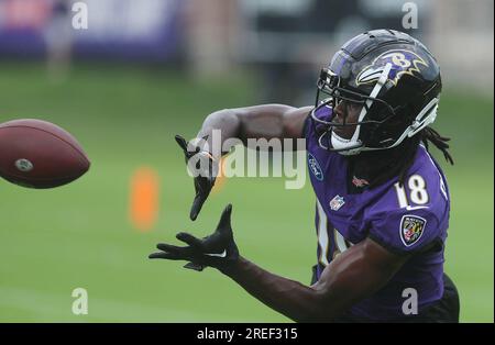 Baltimore Ravens wide receiver Dontay Demus Jr. runs a route during the  first half of a preseason NFL football game, Saturday, Aug. 12, 2023, in  Baltimore. (AP Photo/Julio Cortez Stock Photo - Alamy