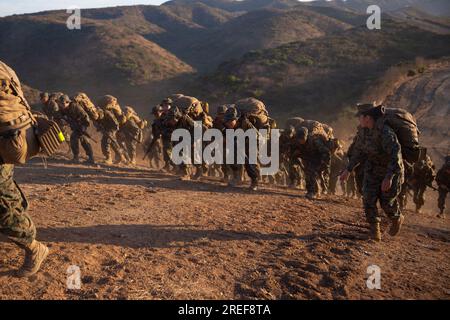 ÉTATS-UNIS Les recrues du corps des Marines avec la Golf Company, 2nd Recruit Training Battalion, courent le Reaper lors d'un événement creuset au Marine corps base Camp Pendleton, Oceanside, Californie, le 26 juillet 2023. The Reaper est la dernière partie de l'événement creuset qui marque la transition des recrues vers les Marines. (ÉTATS-UNIS Photo du corps des Marines par le caporal Elliott A. Flood-Johnson) Banque D'Images