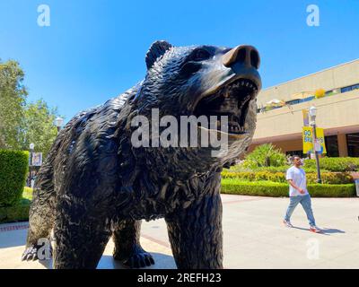 La statue de l'ours UCLA Bruin Banque D'Images