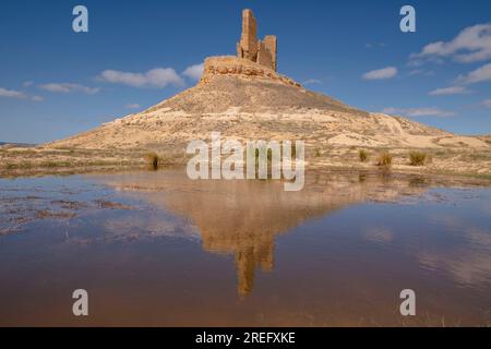 Castillo de Montuenga de Soria, Castillo de los Padilla, Montuenga de Soria, Comarca de Arcos de Jalón, Soria, communauté autonome de Castilla y León Banque D'Images