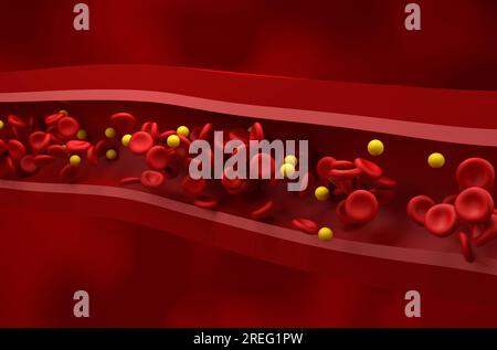 Taux normal de LDL (lipoprotéines) - cholestérol et flux gr dans le vaisseau sain vue isométrique illustration 3d. Banque D'Images