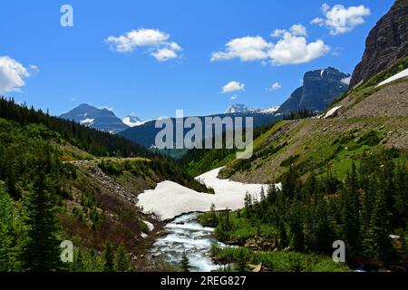 vue de siyeh courbe de champ de neige, rivière, forêt, sommets, vallée glaciaire en été le long de la route allant au soleil dans le parc national des glaciers, montana Banque D'Images