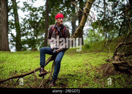 Photographe assis sur l'arbre dans la zone boisée Banque D'Images