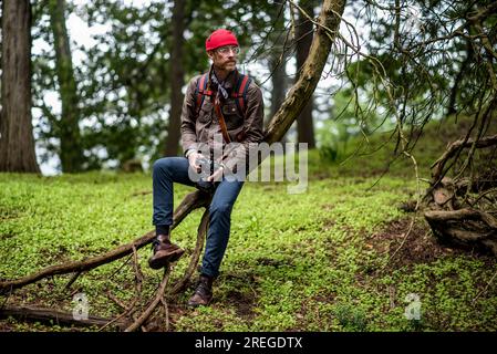 Homme assis sur l'arbre tenant la caméra dans la forêt Banque D'Images