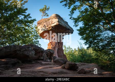 Table du diable (germe. Teufelstisch), un champignon rocher à Hinterweidenthal, Forêt du Palatinat, Allemagne en été contre le ciel bleu Banque D'Images